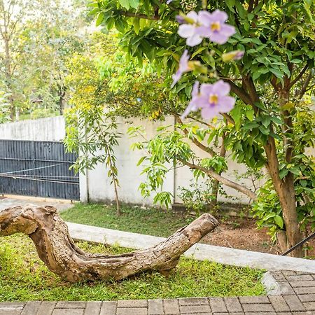 Battaramulla Boutique Villa Sri Jayewardenepura Kotte Esterno foto